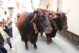 Calatafimi - Segesta104.JPG